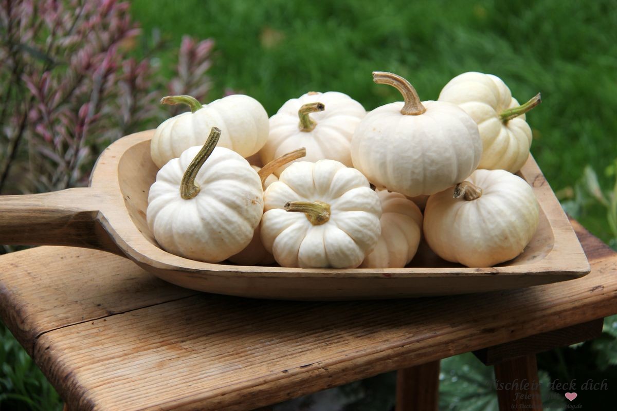 Herbstimpressionen Baby Boos