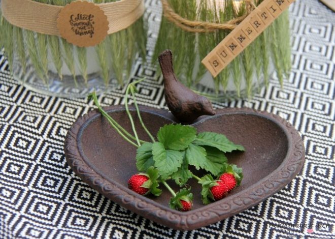Walderdbeeren aus dem Garten
