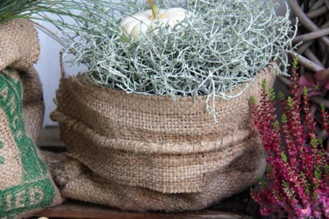 DIY mit Kaffeesäcken Stacheldrahtlblume mit BabyBoo