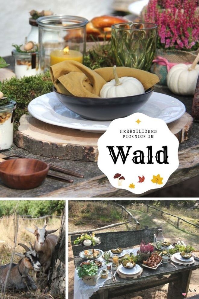 Pinterestgrafik herbstliches Picknick im Wald 
