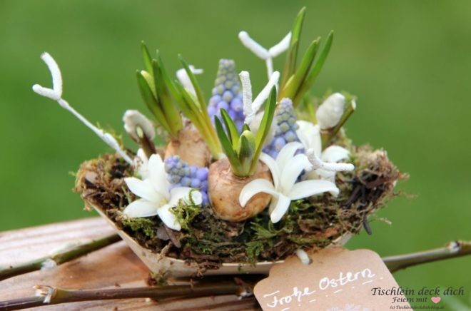 frühlingshafte Mini-Gestecke als Gastgeschenk
