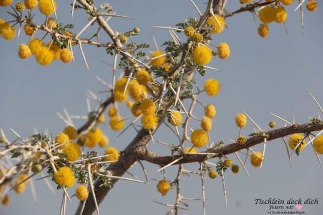 Etosha Nationalpark