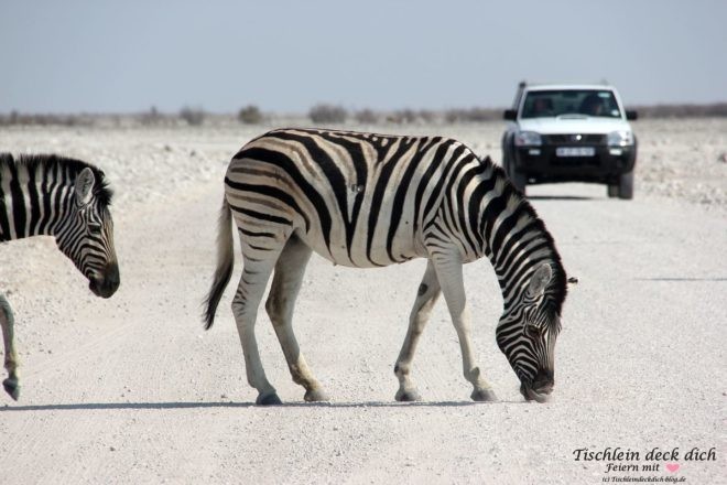 Urlaub in Namibia