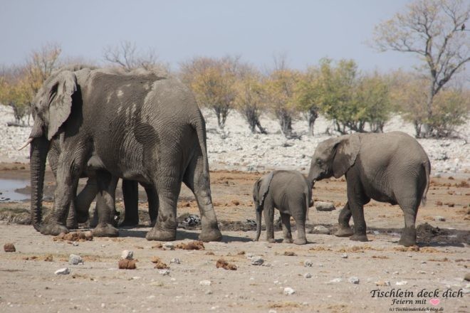 Urlaub in Namibia