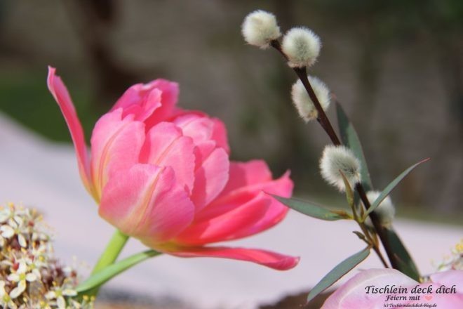 Fruehlingsblumen