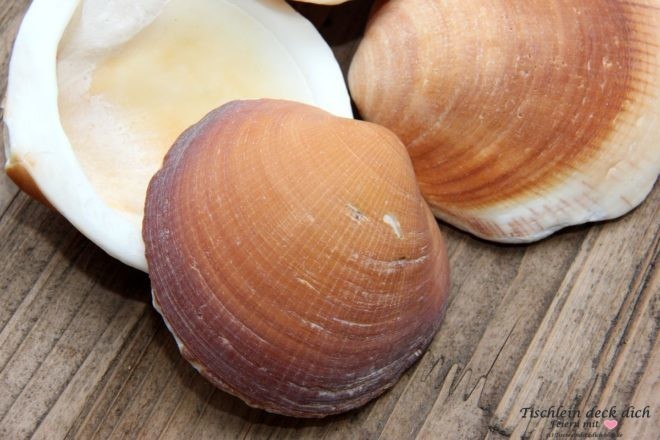 maritime-Kerzdendeko-mit-Muscheln