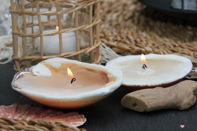 Muscheldeko DIY