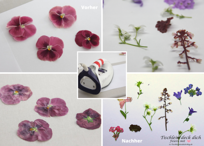 Trockenblumen DIY