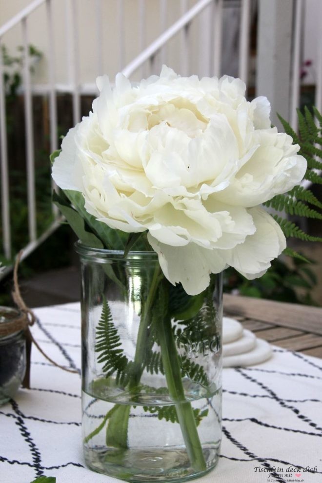 Pfingstrose Blumendeko