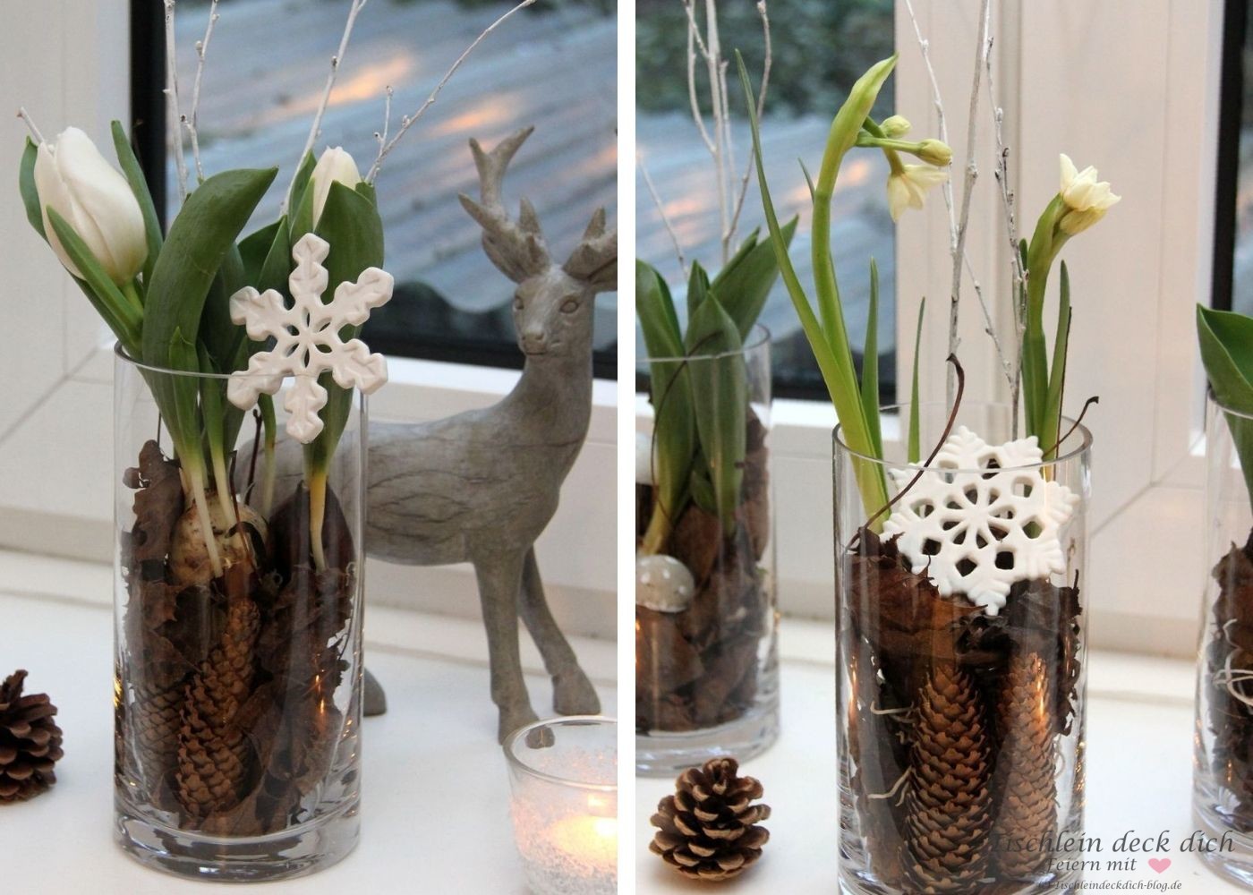 Winterdekoration auf der Fensterbank mit Blumenzwiebeln - Tischlein deck  dich