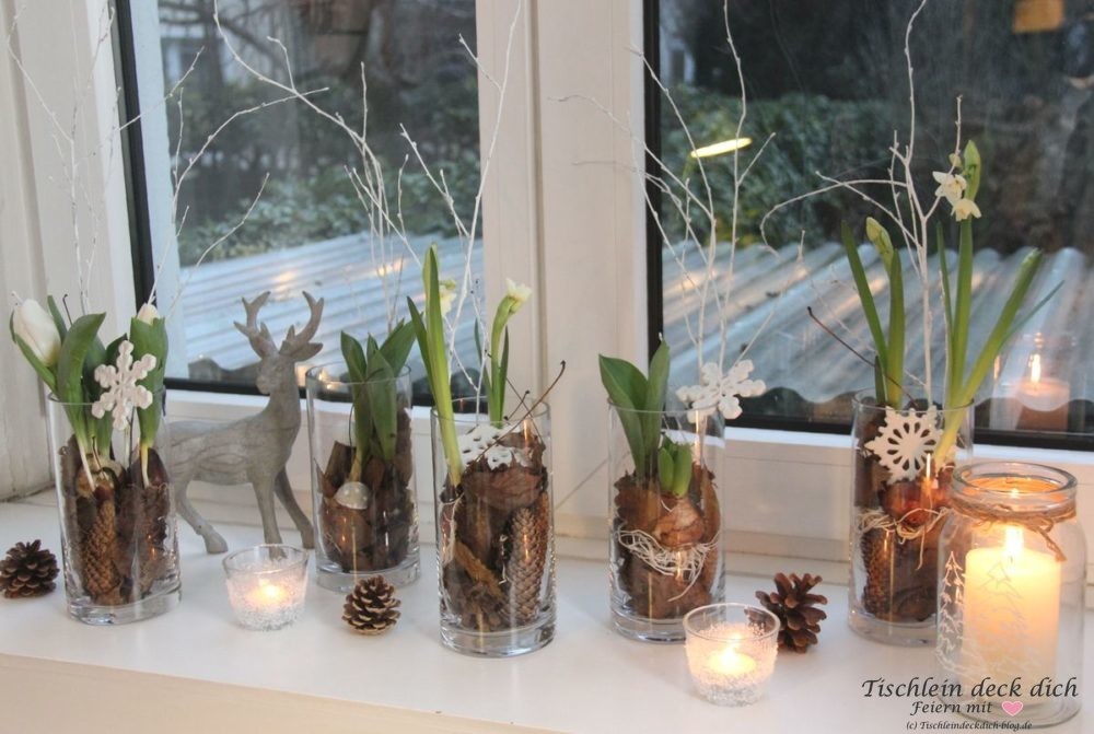 Winterdekoration auf der Fensterbank mit Blumenzwiebeln