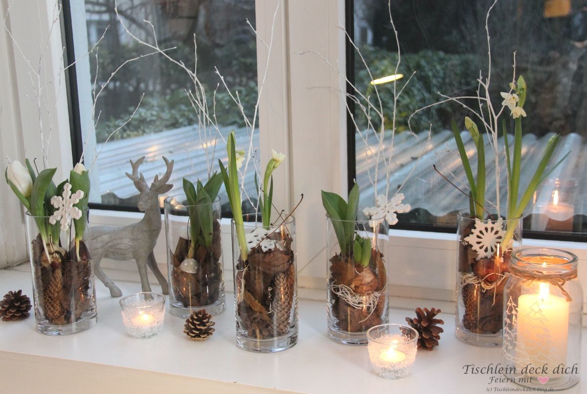Winterdekoration auf der Fensterbank mit Blumenzwiebeln - Tischlein deck  dich