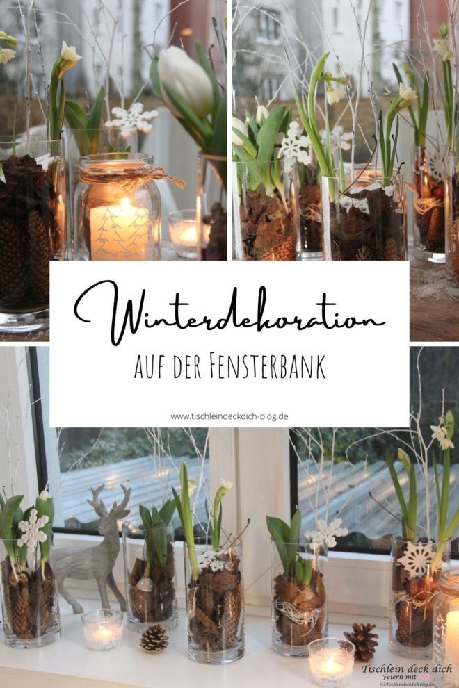 Winterdekoration auf der Fensterbank mit Blumenzwiebeln