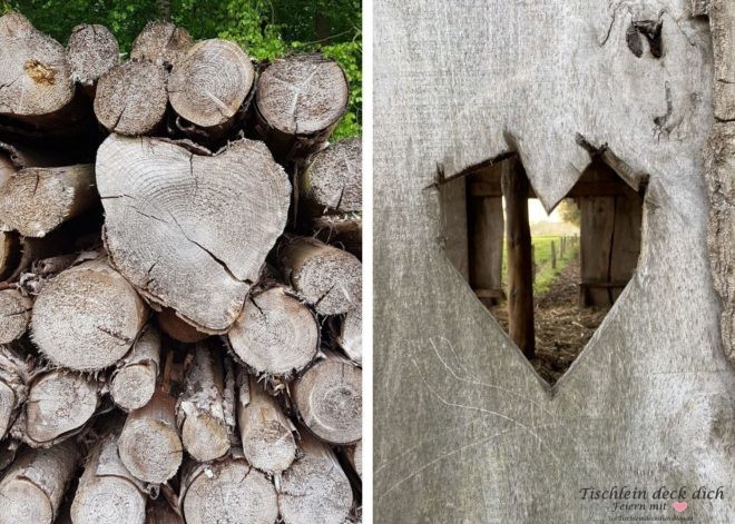 Fundstücke aus Holz entdecken