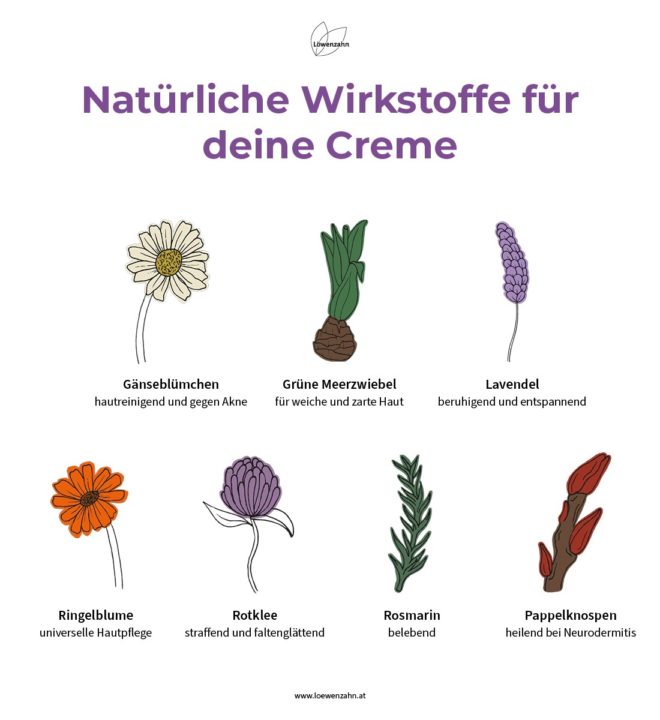 Wirkstoffe Lavendelcreme