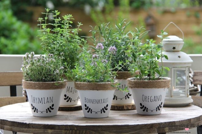 Kräutertöpfe gestalten - ein sommerliches DIY