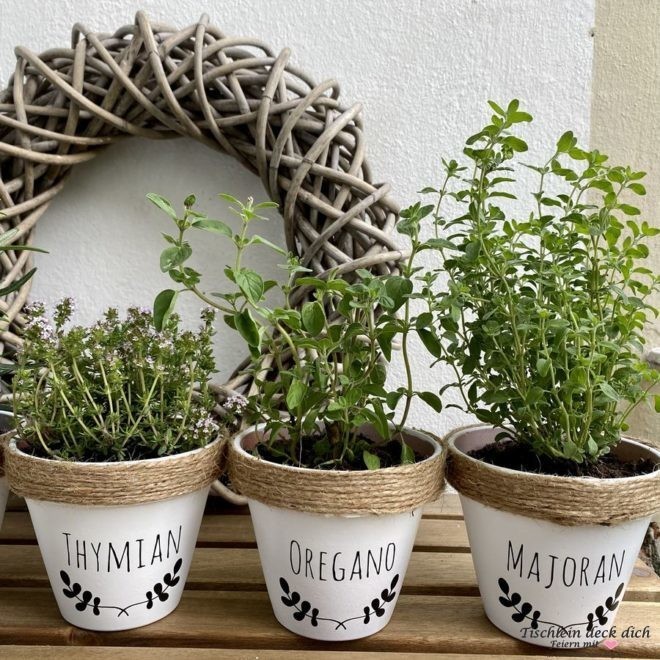 Töpfe für Thymian, Oregano Majoran und Co.