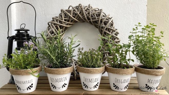 Kräutertöpfen für die sommerliche Dekoration