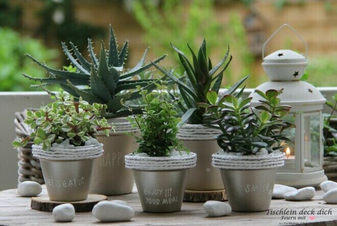 Sukkulenten im Tontopf - ein sommerliches DIY