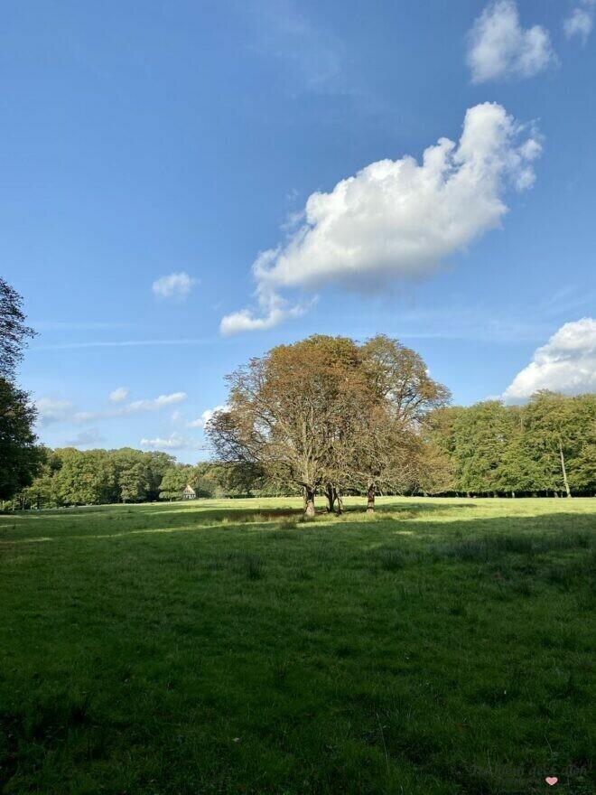 Wildpark bei Dülmen