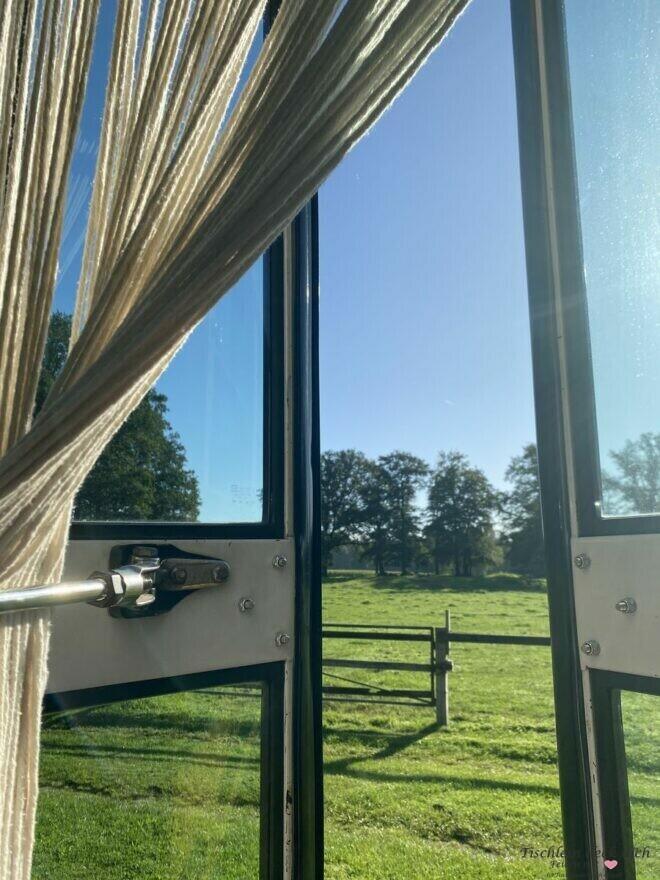 Blick aus unserem Skoolie am Morgen