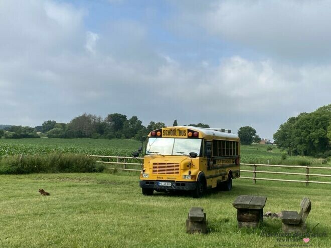 amerikanischer Schulbus auf großer Wiese