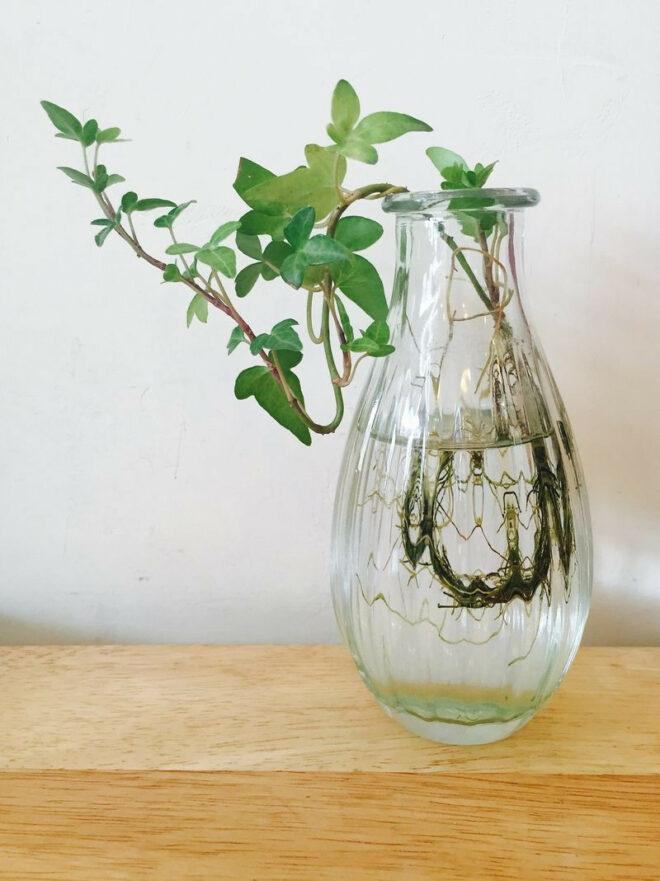 Glasflaschen Upcycling DIY