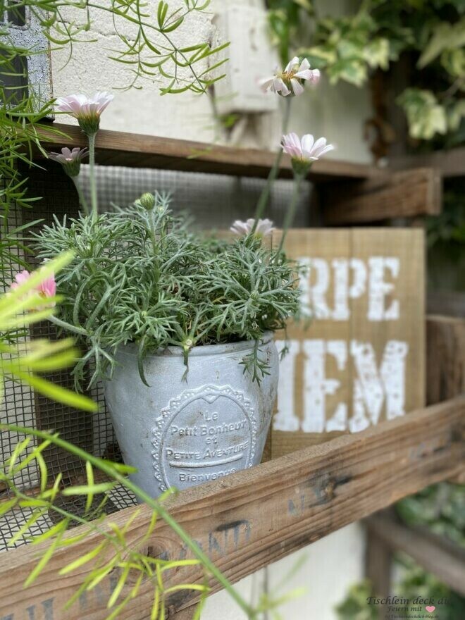 Tulpenzwiebelregal für den Garten