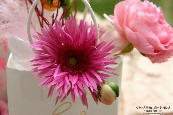 pinkfarbene Gerbera 
