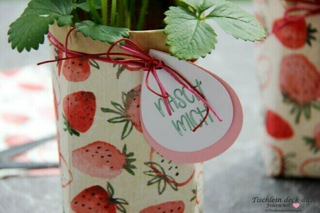 Erdbeerpflanze im Tetra Pak als Geschenkidee