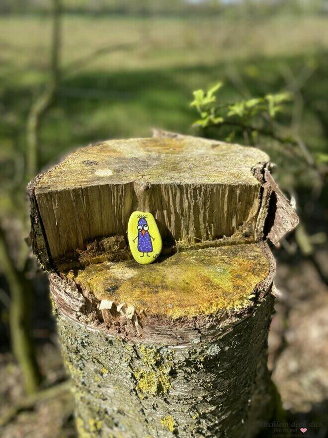 Fundstein im Zwillbrocker Venn