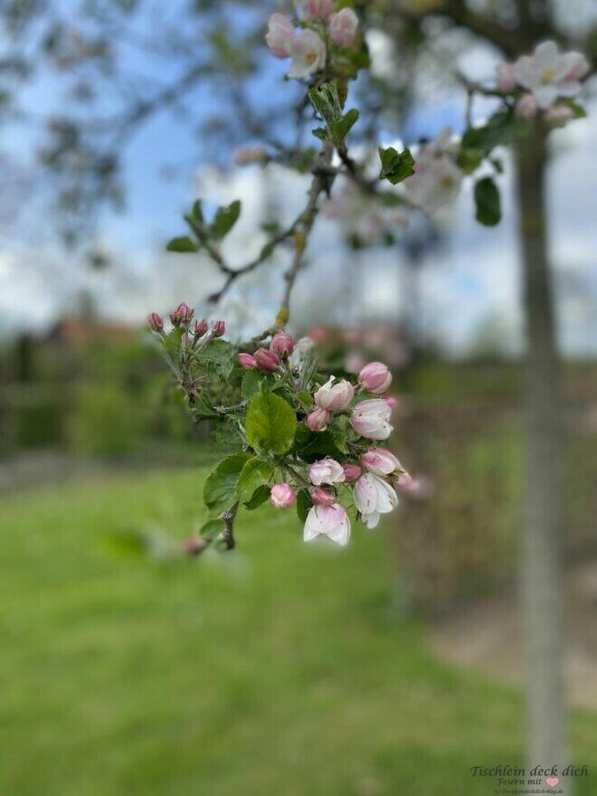 Frühlingsstimmung im Mai