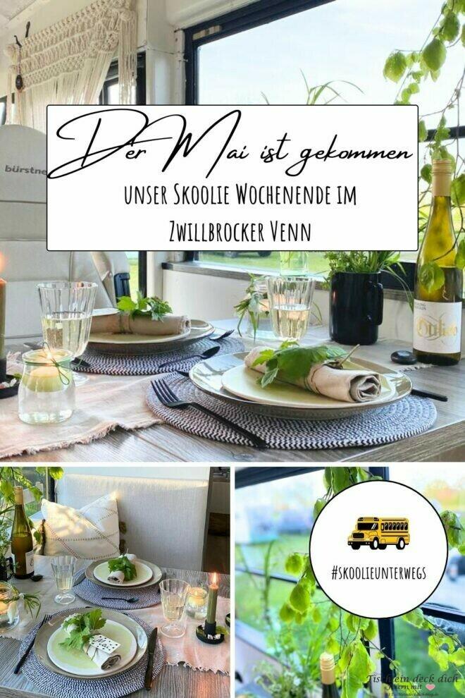 Pinterest Pin Zwillbrocker Venn mit dem Skoolie