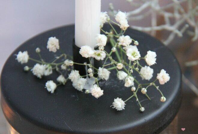 Schleierkraut für die Winterdekoration