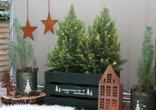 Balkon weihnachtlich dekorieren mit Zuckerfichten und Lichterkette