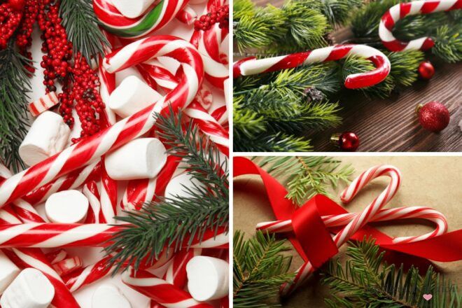 Zuckerstangen Impression