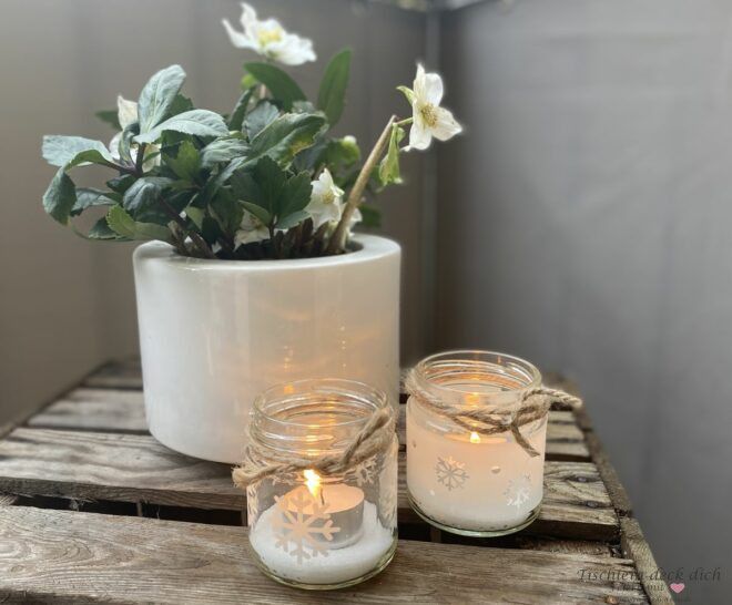 Christrose für die Winterdekoration auf dem Balkon