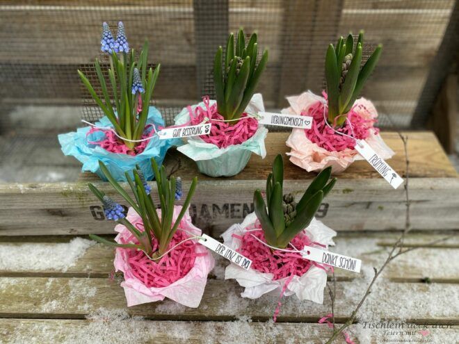 Frühlingshafte Blumendekoration mit Hyazinthen