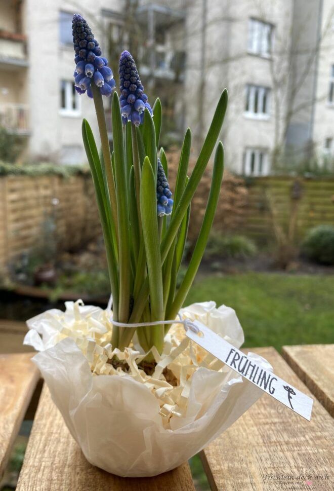 Frühlingshaftes DIY mit Butterbrotpapier