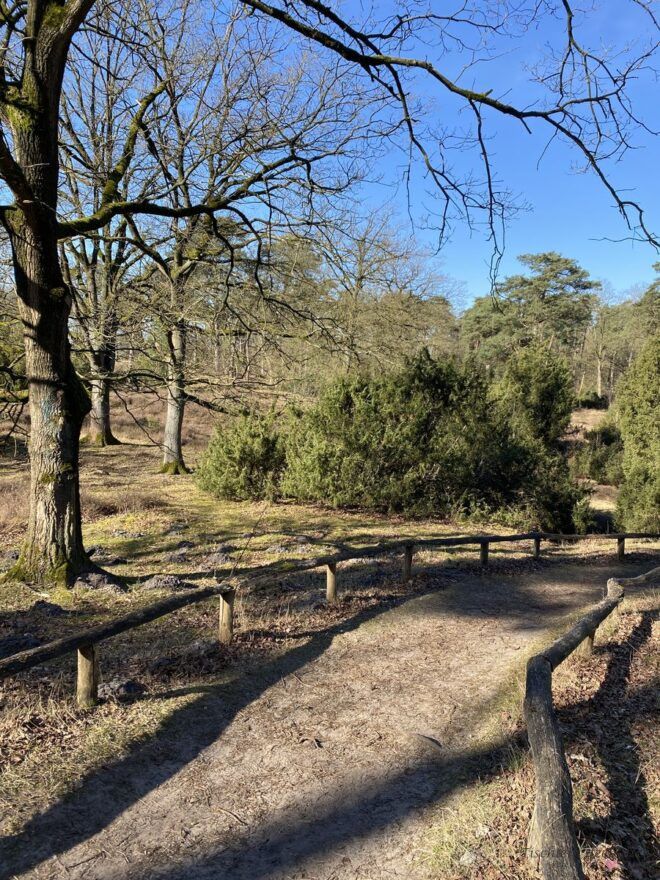 Bochholter Berge Wachholder Heide bei Greven