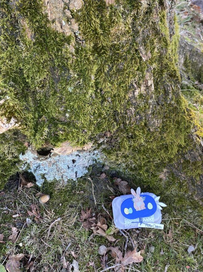 Ostergeschenk versteckt im Wald am Baum