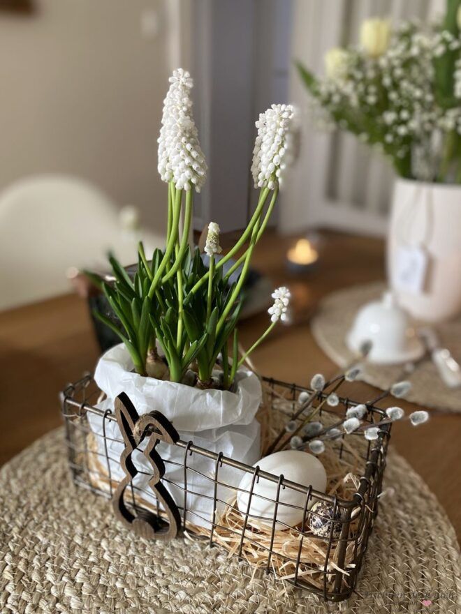 weiße Perlhyazinten im Drahtkorb mit Holzosterhasen