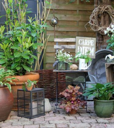 Schattengarten-dekorieren