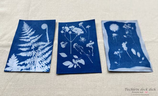 Ideen mit Sonnendruckpapier