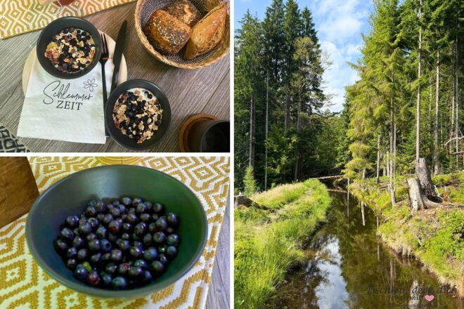 Blaubeeren pflücken am Bach