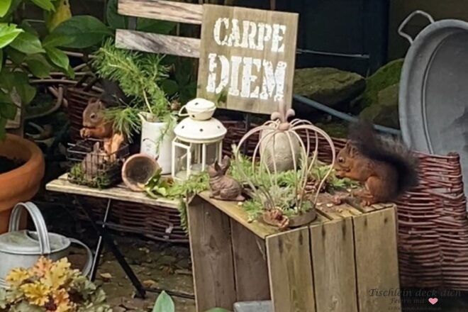 Eichhörnchen im Garten