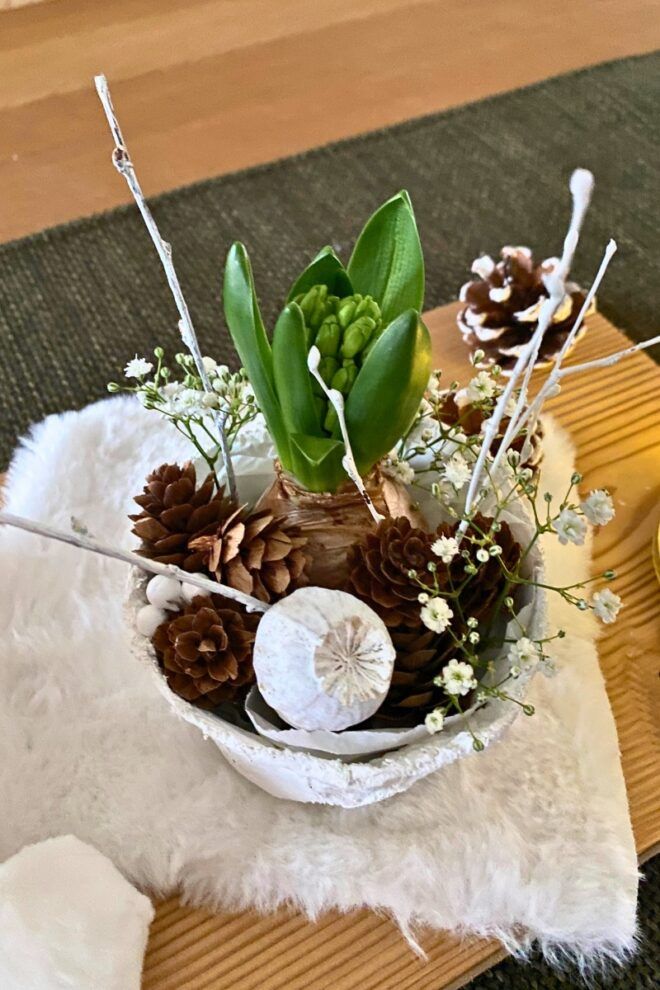 winterliches Blumengesteck mit Hyazinthe, Zapfen und Mohnkapsel