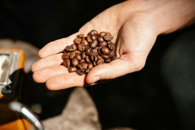 Kaffeebohnen auf Handfläche