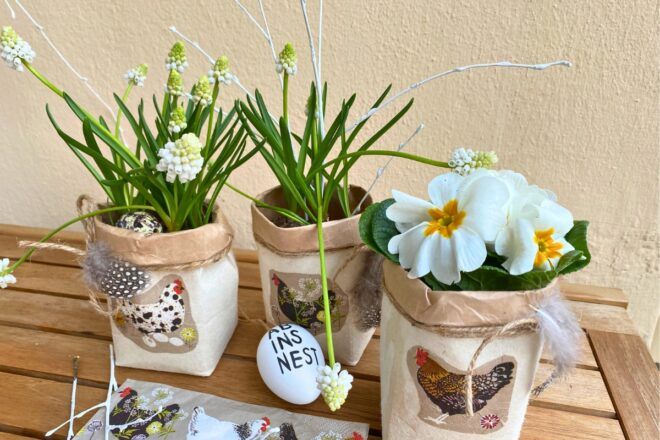 Fruehlingsblueher im Tetra Pak mit Huehner Motiv