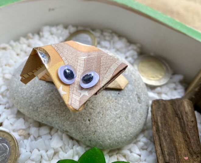 gefalteter Geldscheinfrosch